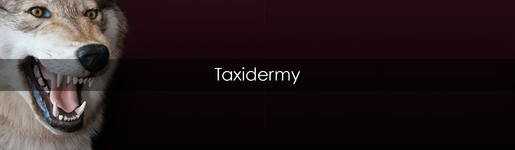 Taxidermy - 2050x600 interior sliders